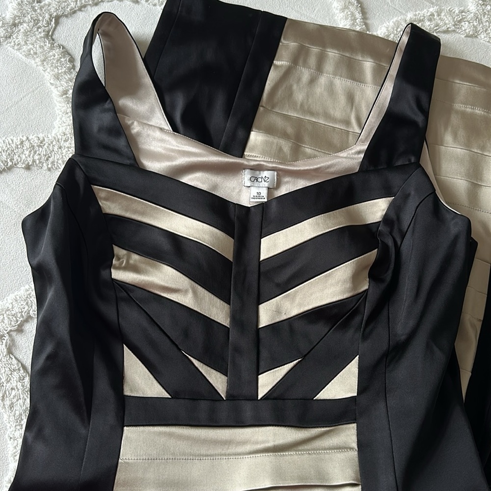 Cache Dress Size 10 - image 3